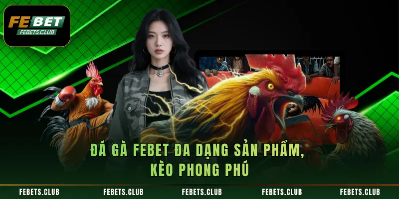 Đá Gà FEBET đa dạng sản phẩm, kèo phong phú