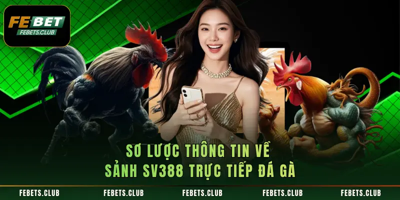 Sơ lược thông tin về sảnh SV388 trực tiếp đá gà