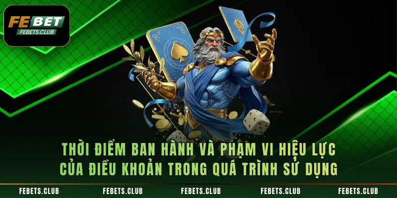 Thời điểm ban hành và phạm vi hiệu lực của điều khoản trong quá trình sử dụng