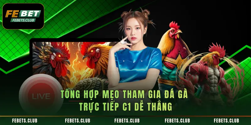 Tổng hợp mẹo tham gia đá gà trực tiếp C1 dễ thắng
